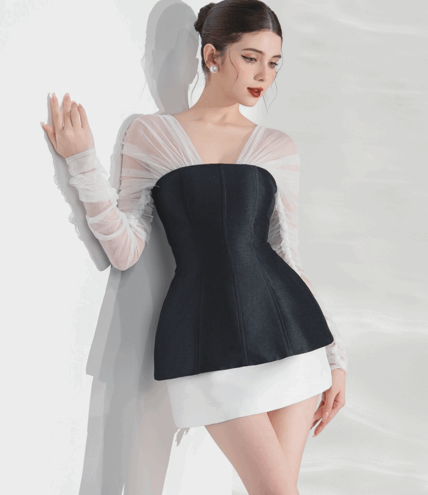 Black and White Sheer Sleeve Mini Dress "Midnight Veil" DR812